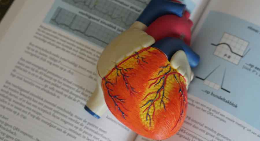 A plastic model heart on top of a cardiology textbook